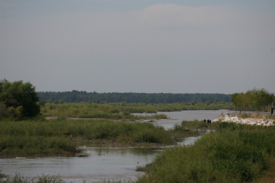 イリ・カザフ族自治州（伊犁哈萨克自治州）観光旅行記＠滔々と流れる大河、イリ河（伊犁河）の風景