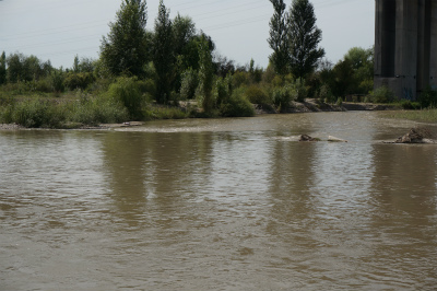 イリ・カザフ族自治州（伊犁哈萨克自治州）観光旅行記＠滔々と流れる大河、イリ河（伊犁河）の川面