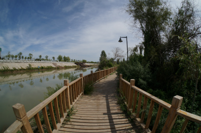 新疆ウイグル自治区観光旅行記＠イリ河（伊犁河）の川辺の遊歩道を散歩