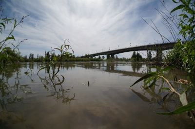イリ・カザフ族自治州（伊犁哈萨克自治州）観光旅行記＠イリ河（伊犁河）の川辺、イリ河（伊犁河）大橋（新橋）前でiPhone 5Sでタイムラプス撮影