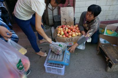イリ・カザフ族自治州（伊犁哈萨克自治州）観光旅行記＠伊寧市の军垦路便民市场（軍墾路便民市場）の果物屋で1㎏3元でリンゴを購入