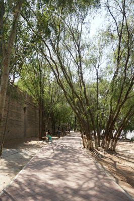 中国旅行記＠蘭州観光、黄河の川岸にある遊歩道を通ってランドマークの黄河母親像へ散歩