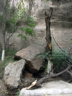 中国旅行記＠蘭州観光、五泉山公園の壊れた岩と折れた樹木