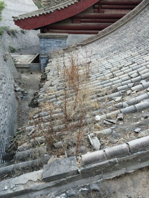 とまとじゅーす的中国旅行記＠蘭州観光、五泉山公園にあるマニ寺の屋根に生えている草