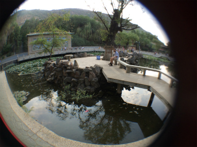 中国旅行記＠蘭州観光、五泉山公園の池に咲く睡蓮の花