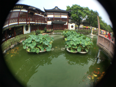 中国旅行記＠上海観光、豫園傍の九曲橋付近の池のある風景