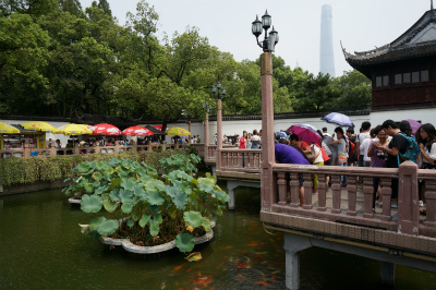 とまとじゅーす的中国旅行記＠上海観光、豫園傍の九曲橋