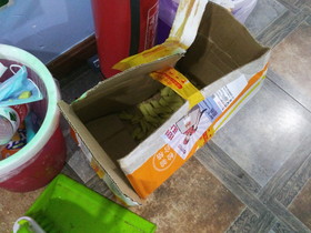 大連観光・旅行記＠淘宝で購入した豆のスナック菓子が破損
