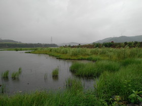 大連観光旅行＠雨の日の西山水庫（ダム）の風景