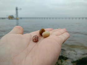 中国旅行記＠大連観光、星海公園